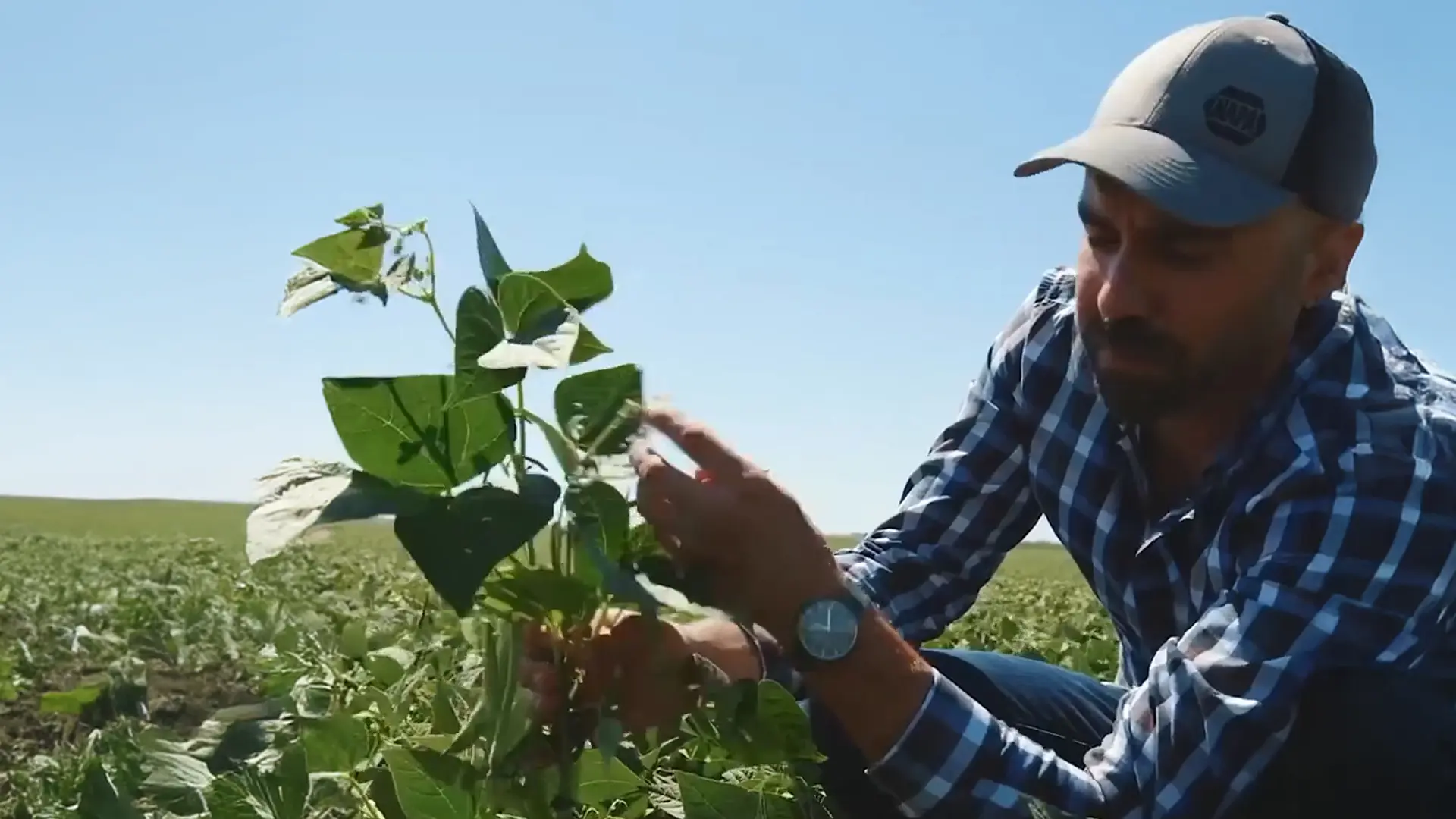 Reseñas de 5 estrellas de la Lámpara anti-mozquitokill